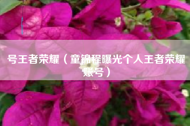 号王者荣耀（童锦程曝光个人王者荣耀账号）