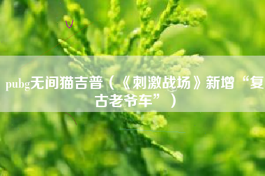 pubg无间猫吉普（《刺激战场》新增“复古老爷车”）