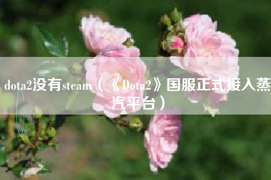 dota2没有steam（《Dota2》国服正式接入蒸汽平台）