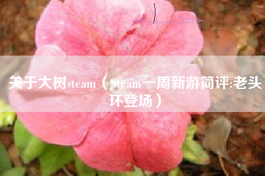 关于大树steam（Steam一周新游简评:老头环登场）
