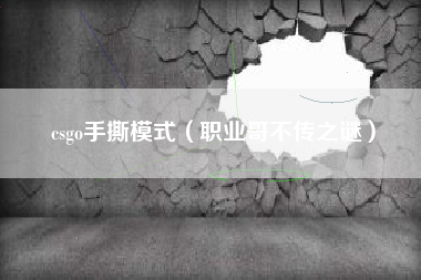 csgo手撕模式（职业哥不传之谜）