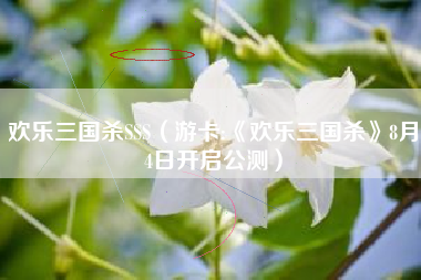 欢乐三国杀SSS（游卡:《欢乐三国杀》8月4日开启公测）