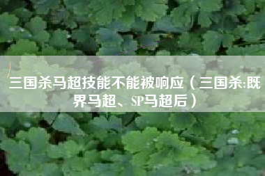 三国杀马超技能不能被响应（三国杀:既界马超、SP马超后）