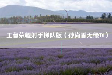 王者荣耀射手梯队版（孙尚香无缘T0）