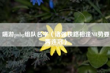 端游pubg组队名字（诸强狭路相逢NH势要两连冠）