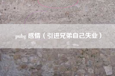pubg 感情（引进兄弟自己失业）