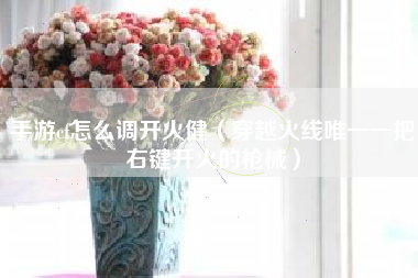 手游cf怎么调开火健（穿越火线唯一一把右键开火的枪械）