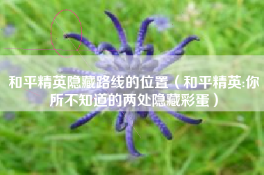 和平精英隐藏路线的位置（和平精英:你所不知道的两处隐藏彩蛋）