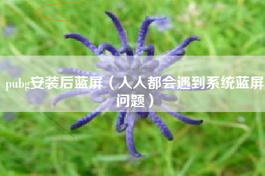 pubg安装后蓝屏（人人都会遇到系统蓝屏问题）