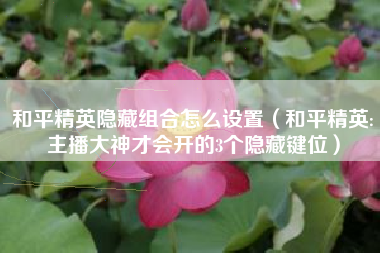 和平精英隐藏组合怎么设置（和平精英:主播大神才会开的3个隐藏键位）
