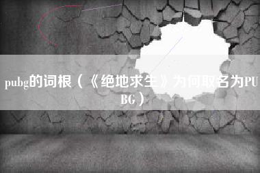 pubg的词根（《绝地求生》为何取名为PUBG）