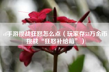 cf手游挑战狂怒怎么点（玩家存53万金币挑战“狂怒补给箱”）