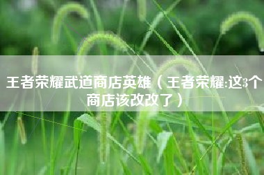 王者荣耀武道商店英雄（王者荣耀:这3个商店该改改了）