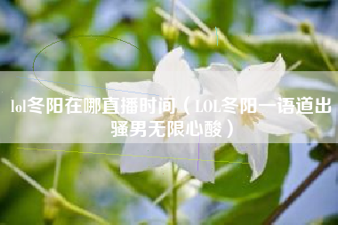 lol冬阳在哪直播时间（LOL冬阳一语道出骚男无限心酸）