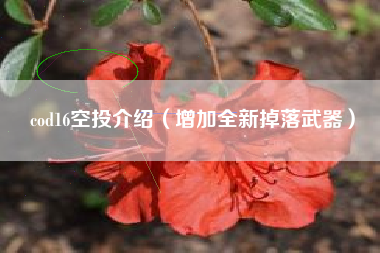 cod16空投介绍（增加全新掉落武器）