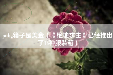 pubg箱子是美金（《绝地求生》已经推出了16种服装箱）
