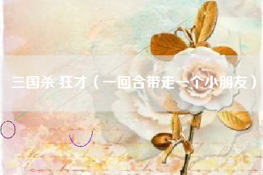 三国杀 狂才（一回合带走一个小朋友）