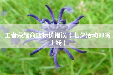 王者荣耀商店标价错误（七夕活动即将上线）