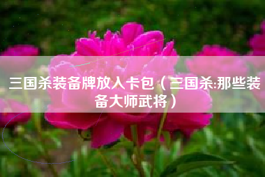 三国杀装备牌放入卡包（三国杀:那些装备大师武将）