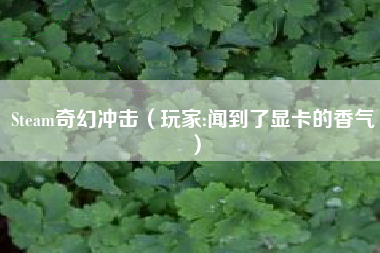 Steam奇幻冲击（玩家:闻到了显卡的香气）
