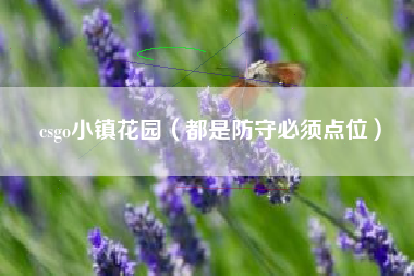 csgo小镇花园（都是防守必须点位）