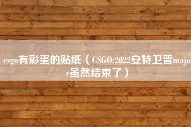 csgo有彩蛋的贴纸（CSGO:2022安特卫普major虽然结束了）