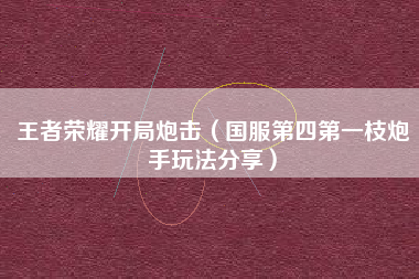 王者荣耀开局炮击（国服第四第一枝炮手玩法分享）