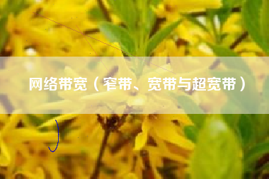 网络带宽（窄带、宽带与超宽带）