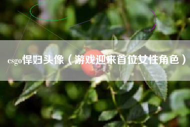 csgo悍妇头像（游戏迎来首位女性角色）