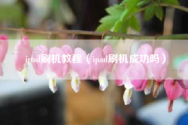 ipad刷机教程（ipad刷机成功吗）