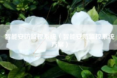 智能安防监控系统（智能安防监控系统方案）