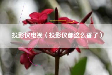 投影仪电视（投影仪都这么香了）