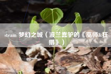 steam 梦幻之城（波兰蠢驴的《巫师3:狂猎》）