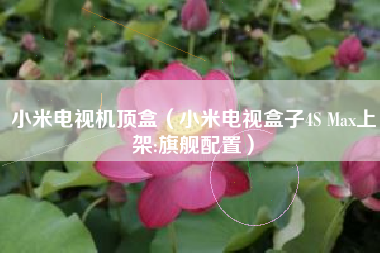 小米电视机顶盒（小米电视盒子4S Max上架:旗舰配置）