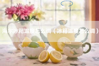 海尔冰箱温度怎么调（冰箱温度怎么调）
