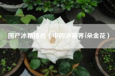 国产冰箱排名（中国冰箱界4朵金花）