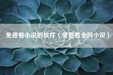免费看小说的软件（免费看全网小说）