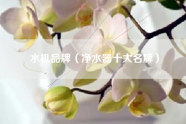 水机品牌（净水器十大名牌）