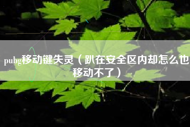 pubg移动键失灵（趴在安全区内却怎么也移动不了）