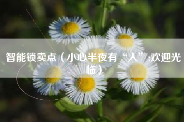 智能锁卖点（小心半夜有“人”:欢迎光临）