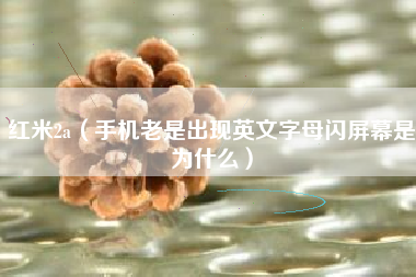 红米2a（手机老是出现英文字母闪屏幕是为什么）