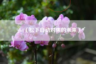 gh4（松下自动对焦的未来）
