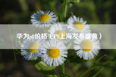华为p8价格（P8上海发布盛典）