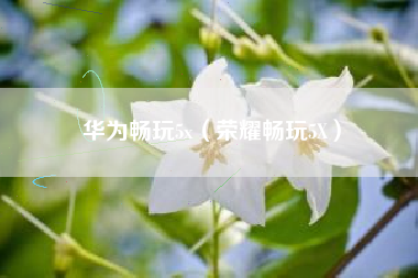 华为畅玩5x（荣耀畅玩5X）