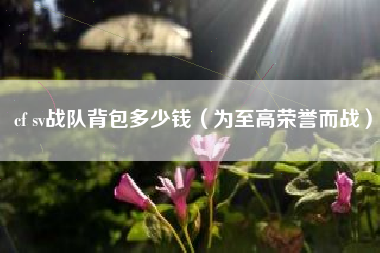 cf sv战队背包多少钱（为至高荣誉而战）
