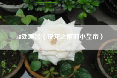 a8处理器（锐龙之前的小皇帝）