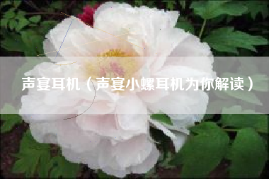 声宴耳机（声宴小螺耳机为你解读）