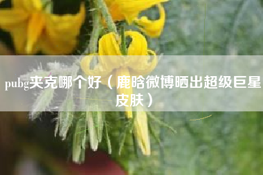 pubg夹克哪个好（鹿晗微博晒出超级巨星皮肤）
