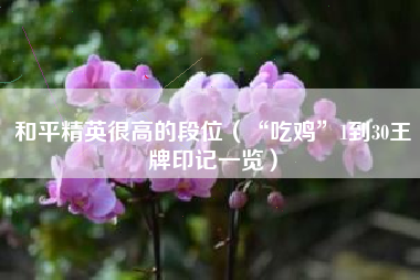 和平精英很高的段位（“吃鸡”1到30王牌印记一览）