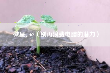 微星ge62（别再浪费电脑的潜力）